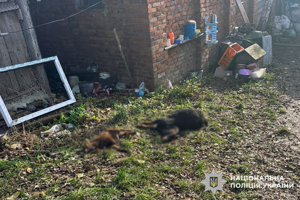 У Хмельницькому знайшли левицю-втікачку: поліція відкрила справу(фото 18+) У Хмельницькому знайшли левицю-втікачку: поліція відкрила справу(фото 18+)