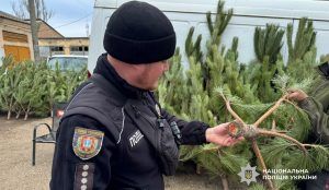 Правоохоронці проводять профілактичні рейди на ялинкових базарах та ярмарках Правоохоронці проводять профілактичні рейди на ялинкових базарах та ярмарках