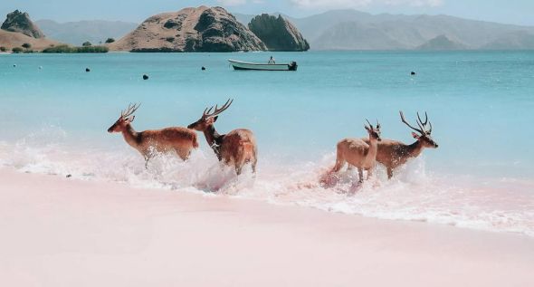 Назвали найкрасивіше місце на землі Назвали найкрасивіше місце на землі