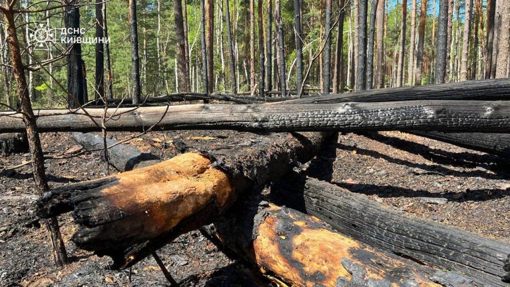 Масштабна пожежа в Зоні відчудження: вітер поширює вогонь(фото) Масштабна пожежа в Зоні відчудження: вітер поширює вогонь(фото)