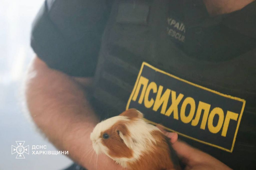 У Харкові внаслідок ворожого удару по зоопарку загинули тварини У Харкові внаслідок ворожого удару по зоопарку загинули тварини