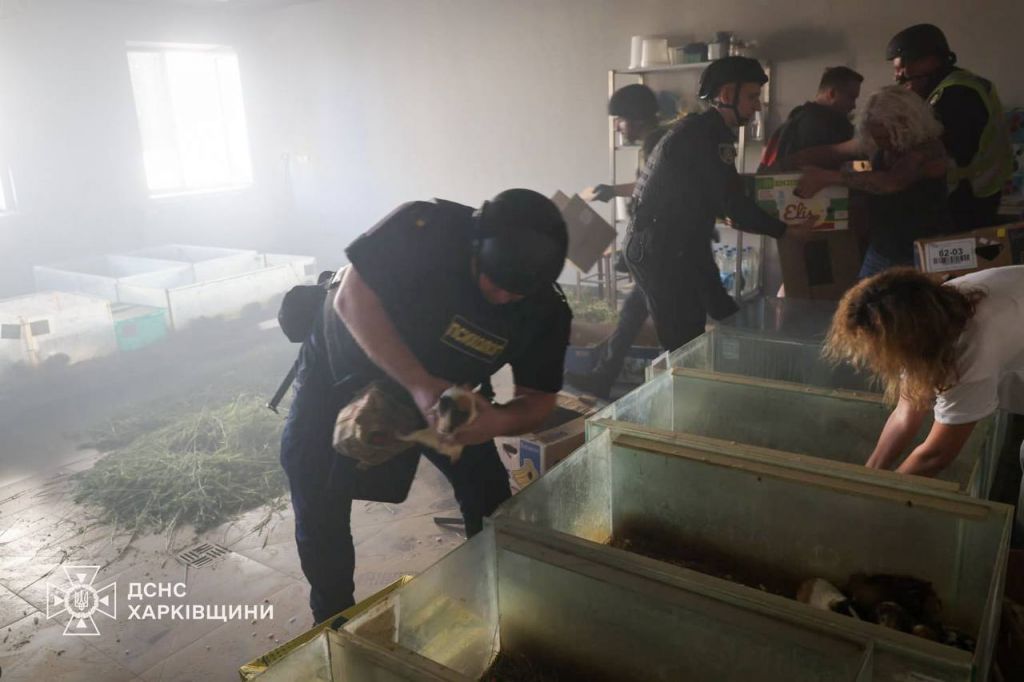 У Харкові внаслідок ворожого удару по зоопарку загинули тварини У Харкові внаслідок ворожого удару по зоопарку загинули тварини