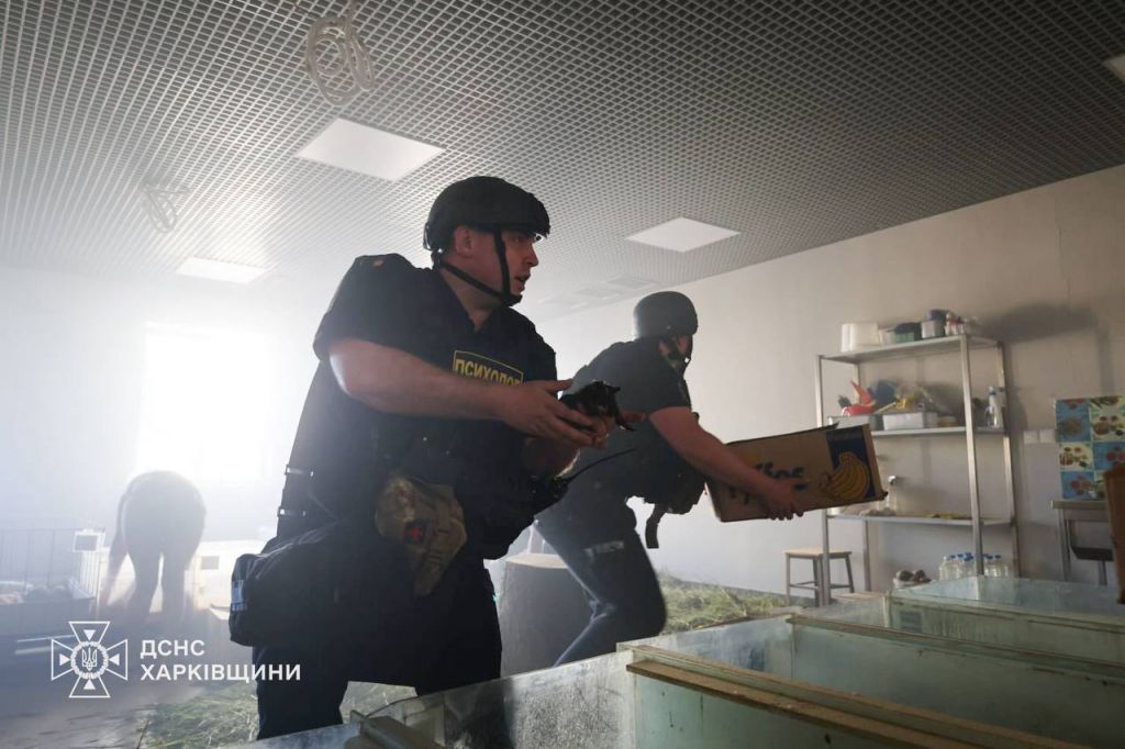 У Харкові внаслідок ворожого удару по зоопарку загинули тварини У Харкові внаслідок ворожого удару по зоопарку загинули тварини