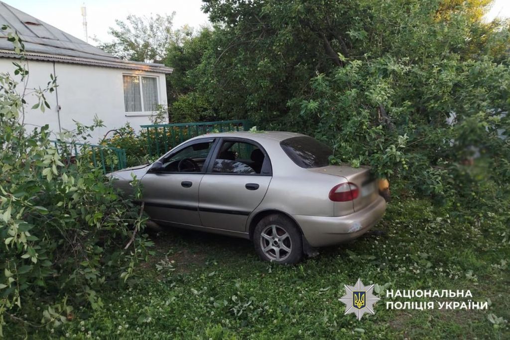 На Черкащині водійка "під градусом" врізалася в дерево, травмовано двох дітей(фото) На Черкащині водійка "під градусом" врізалася в дерево, травмовано двох дітей(фото)