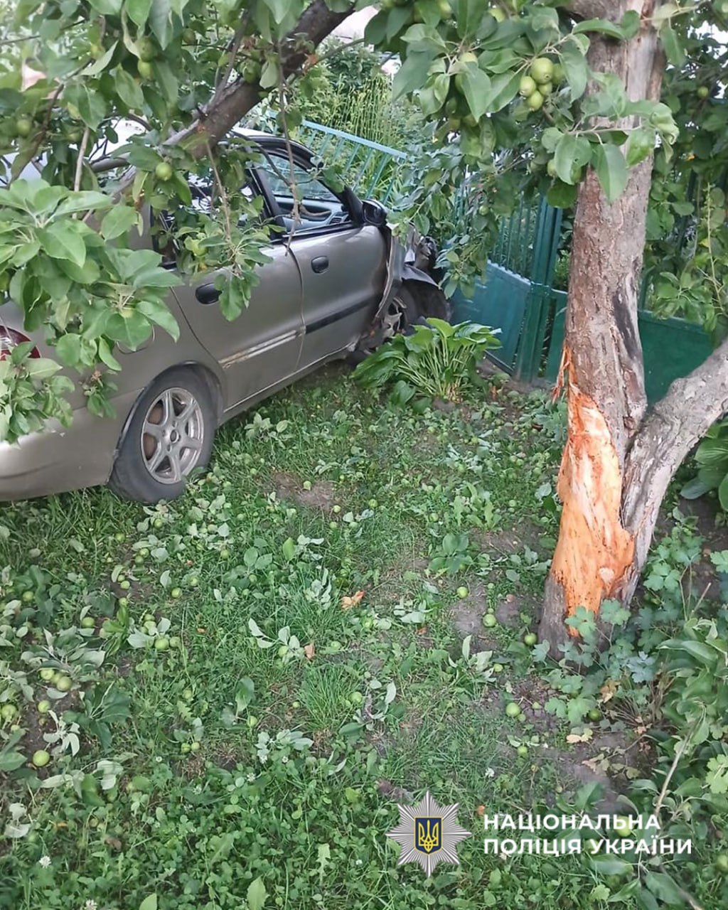 На Черкащині водійка "під градусом" врізалася в дерево, травмовано двох дітей(фото) На Черкащині водійка "під градусом" врізалася в дерево, травмовано двох дітей(фото)