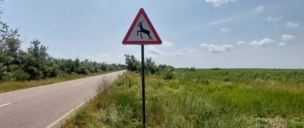 На Одещині встановили знаки «Дикі тварини»: задля безпеки водіїв та збереження природи На Одещині встановили знаки «Дикі тварини»: задля безпеки водіїв та збереження природи