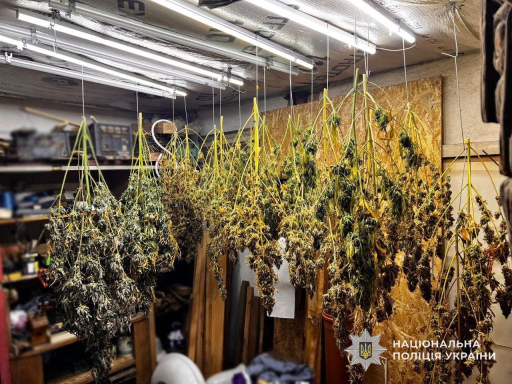 Понад 10 кг наркотиків і 670 тисяч грн: на Закарпатті викрили наркоугруповання(фото) Понад 10 кг наркотиків і 670 тисяч грн: на Закарпатті викрили наркоугруповання(фото)