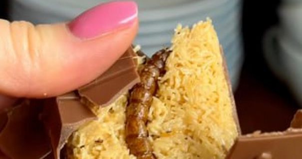 В Україні почали продавати шоколад зі справжніми личинками: який він на смак В Україні почали продавати шоколад зі справжніми личинками: який він на смак