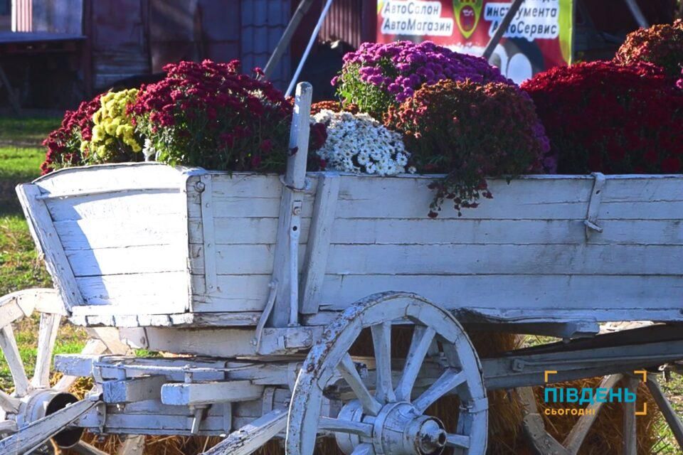 Підприємець з Арциза продовжує розвивати конярство та робити місто кращим Підприємець з Арциза продовжує розвивати конярство та робити місто кращим