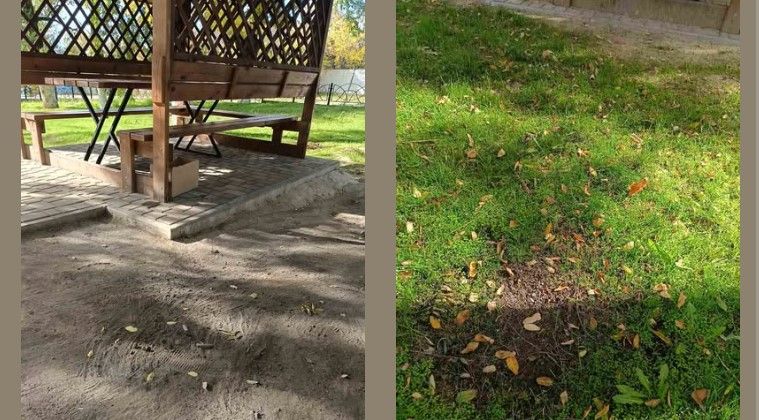 У селі Болградського району підлітки влаштовують нічні пікніки у парку У селі Болградського району підлітки влаштовують нічні пікніки у парку