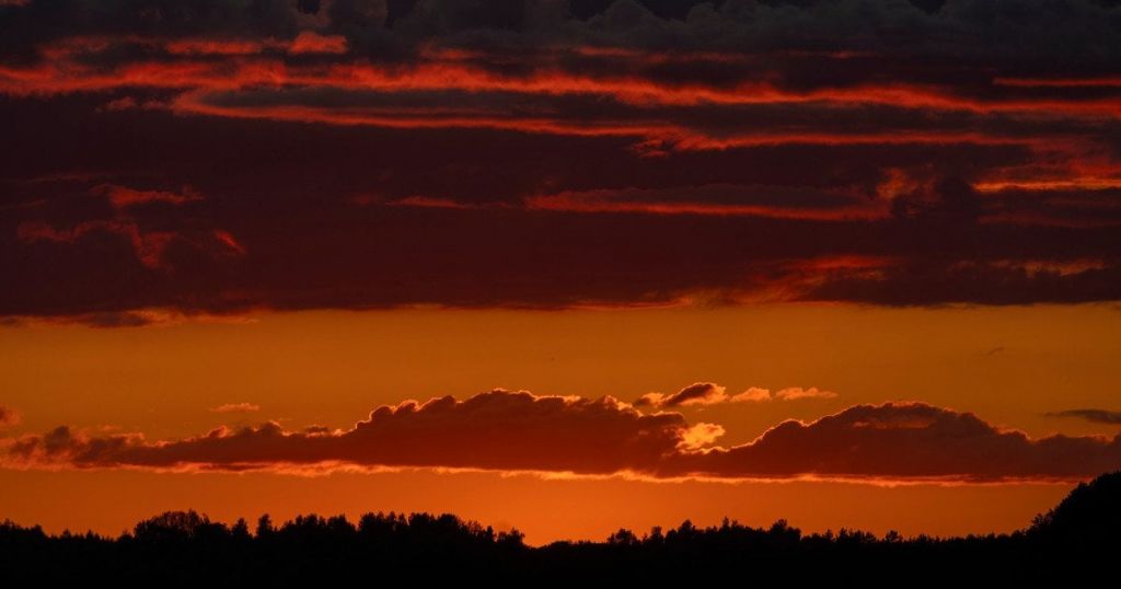 Гороскоп на 31 жовтня для всіх знаків зодіаку: день, коли можна досягти приголомшливих результатів Гороскоп на 31 жовтня для всіх знаків зодіаку: день, коли можна досягти приголомшливих результатів