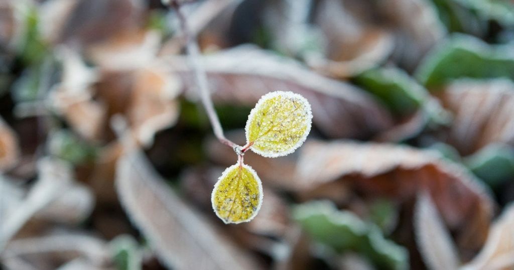 Відстрочка без ТЦК, втрата соцвиплат і старт опалювального сезону: які зміни чекають українців з 1 листопада Відстрочка без ТЦК, втрата соцвиплат і старт опалювального сезону: які зміни чекають українців з 1 листопада