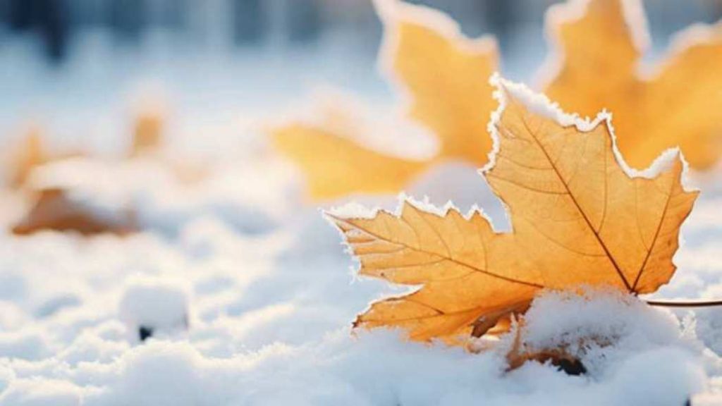 Вже незабаром синоптики прогнозують у Бессарабії сніг Вже незабаром синоптики прогнозують у Бессарабії сніг