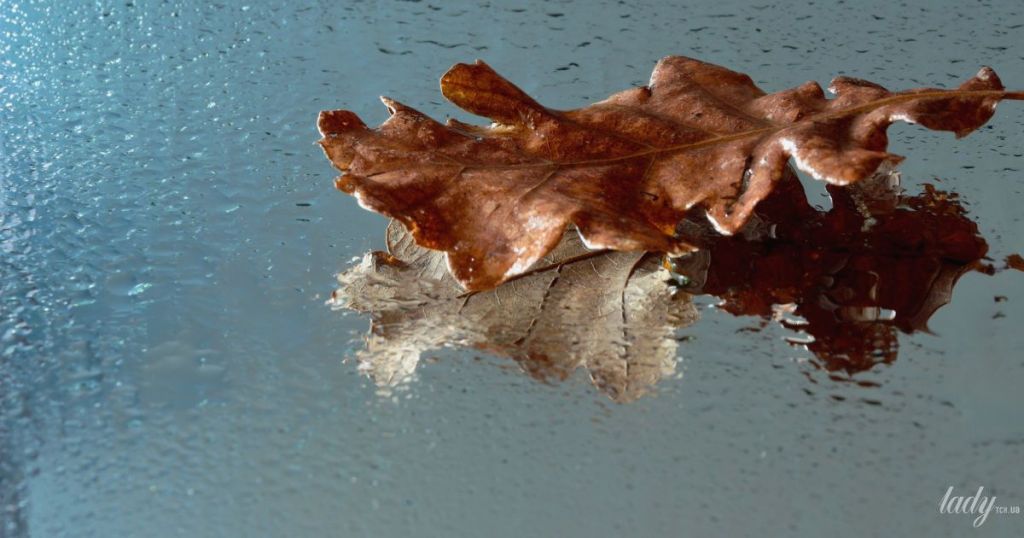 Гороскоп на 7 листопада для всіх знаків зодіаку: день, коли не варто піддаватися лінощам Гороскоп на 7 листопада для всіх знаків зодіаку: день, коли не варто піддаватися лінощам