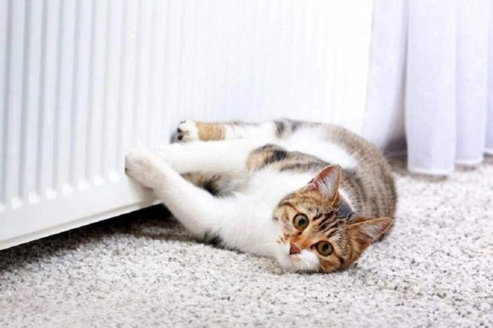 В Ізмаїлі визначилися з датою початку опалення В Ізмаїлі визначилися з датою початку опалення