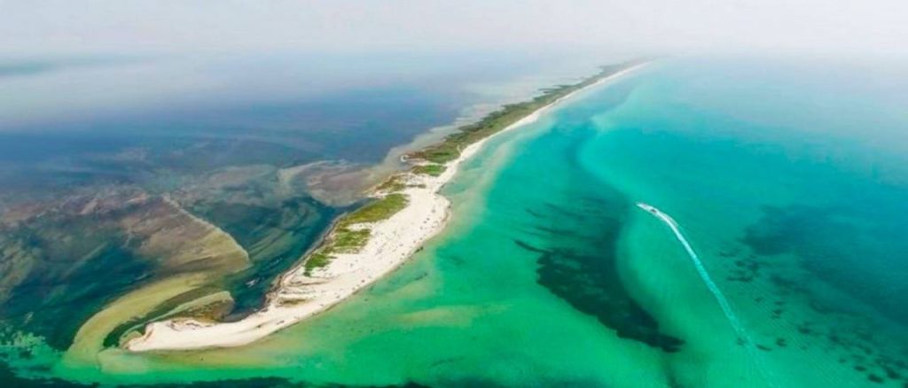 Знищення ворогом екосистем у Чорному морі: на півдні України може зникнути ще одна унікальна заповідна зона Знищення ворогом екосистем у Чорному морі: на півдні України може зникнути ще одна унікальна заповідна зона