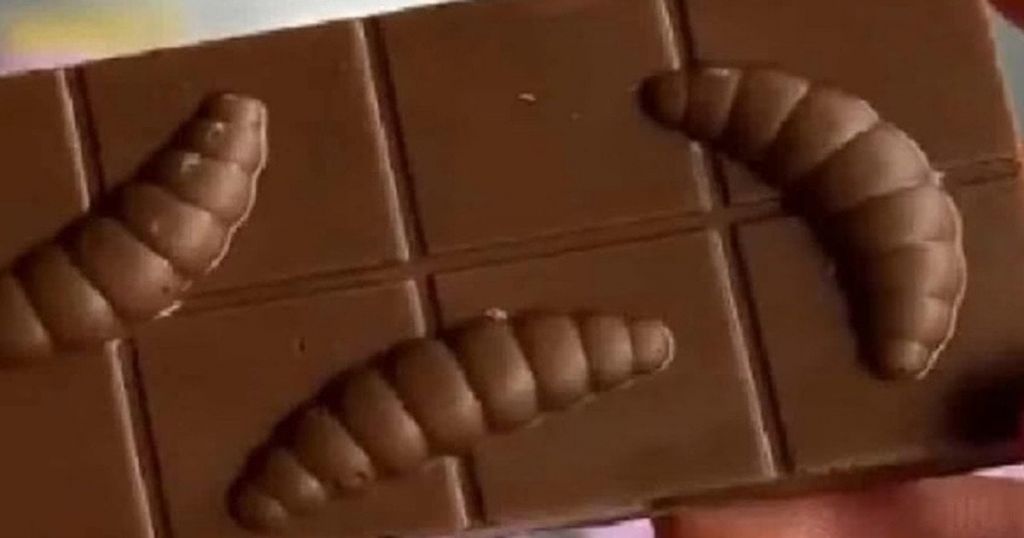 Дієтолог розповів, чи є ризики щодо популярного тренду в Україні - шоколадок з личинками Дієтолог розповів, чи є ризики щодо популярного тренду в Україні - шоколадок з личинками