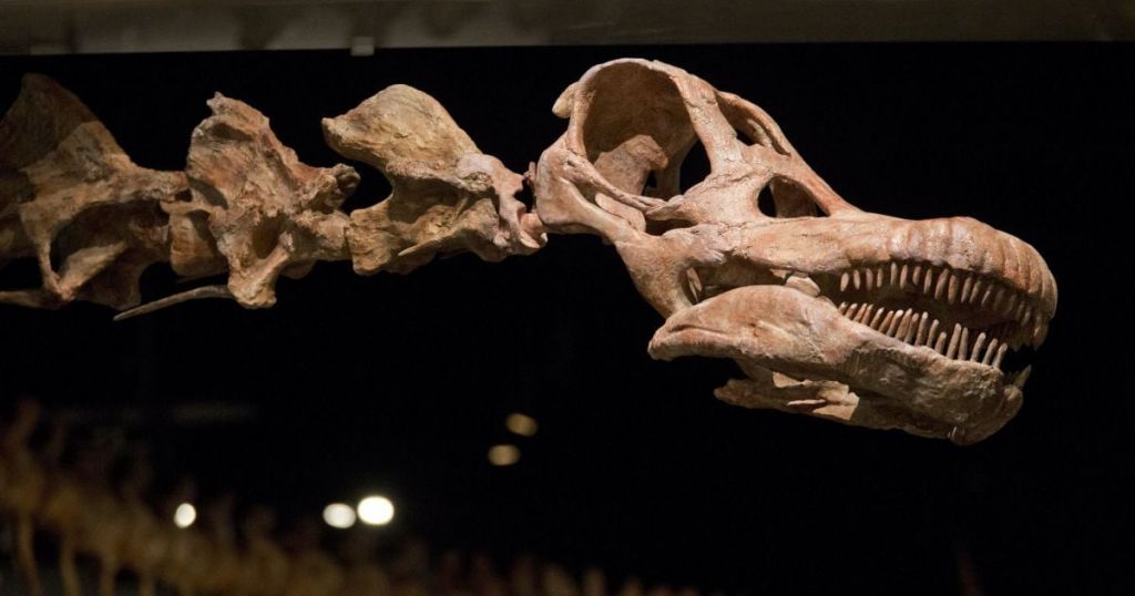 Скелет одного з останніх динозаврів у світі виставили на продаж: яка сума Скелет одного з останніх динозаврів у світі виставили на продаж: яка сума