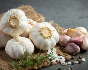 Часник залишатиметься свіжим до наступного врожаю: простий та ефективний спосіб зберігання Часник залишатиметься свіжим до наступного врожаю: простий та ефективний спосіб зберігання