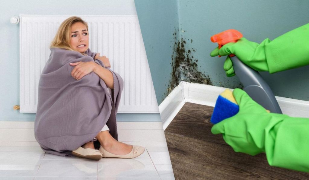 Цвіль у неопалюваних будинках: лікар розповів, чому вона з’являється і як її вивести Цвіль у неопалюваних будинках: лікар розповів, чому вона з’являється і як її вивести