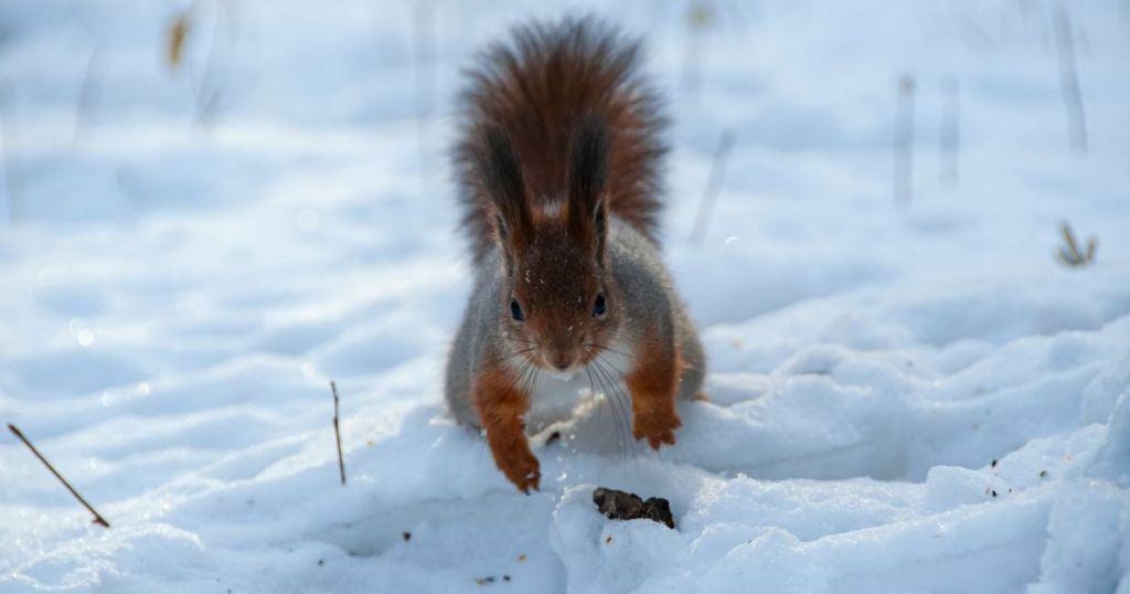 На Україну насувається найсильніше похолодання за 70 років: синоптик про погодні сюрпризи На Україну насувається найсильніше похолодання за 70 років: синоптик про погодні сюрпризи