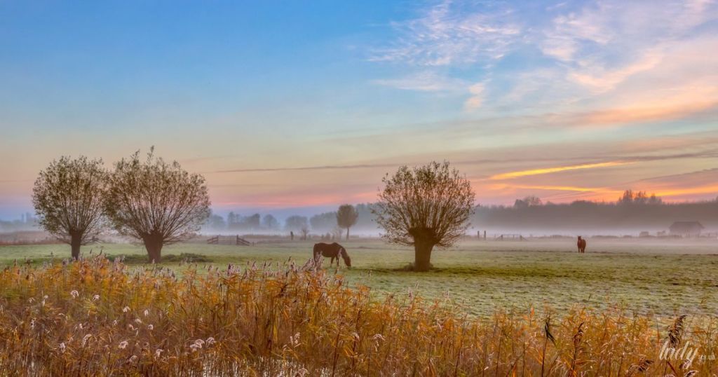 Гороскоп на 14 листопада для всіх знаків зодіаку: день руйнування і творення Гороскоп на 14 листопада для всіх знаків зодіаку: день руйнування і творення