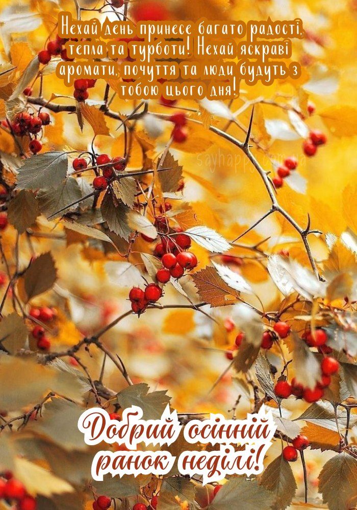 Доброго ранку Ізмаїл! Прогноз погоди на сьогодні Доброго ранку Ізмаїл! Прогноз погоди на сьогодні