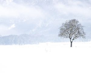 Українців попередили про негоду: циклон принесе сніг, дощі та різке похолодання Українців попередили про негоду: циклон принесе сніг, дощі та різке похолодання