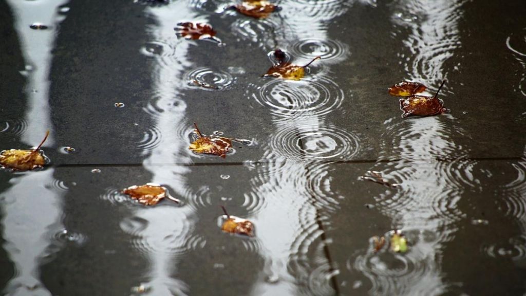 Синоптикиня Діденко назвала області, які в понеділок будуть з дощами Синоптикиня Діденко назвала області, які в понеділок будуть з дощами