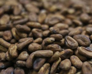 Ціни на какао впали до найнижчого рівня майже за два роки Ціни на какао впали до найнижчого рівня майже за два роки