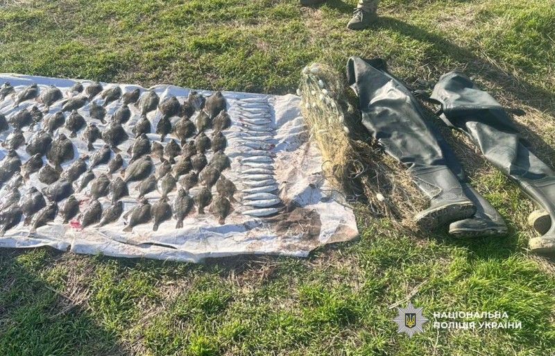 В Одеській області на території нацпарку викрили рибалок із забороненим знаряддям В Одеській області на території нацпарку викрили рибалок із забороненим знаряддям