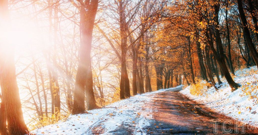 Гороскоп на 28 листопада для всіх знаків зодіаку: день, коли легко стати жертвою агресії Гороскоп на 28 листопада для всіх знаків зодіаку: день, коли легко стати жертвою агресії