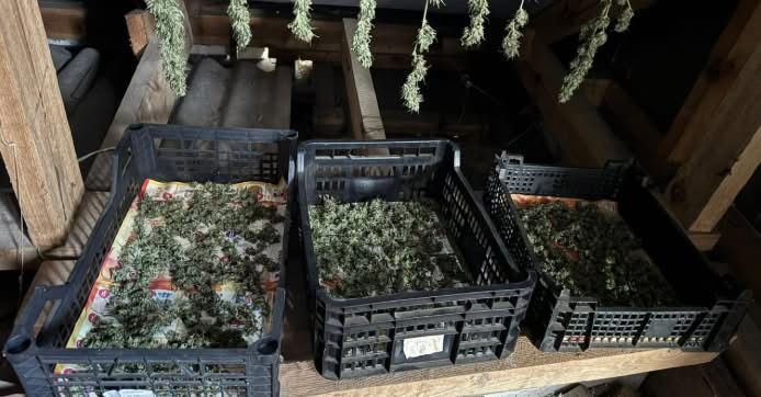 В Ізмаїлі судитимуть 63-річного чоловіка за оборудки з наркотиками у великих розмірах В Ізмаїлі судитимуть 63-річного чоловіка за оборудки з наркотиками у великих розмірах