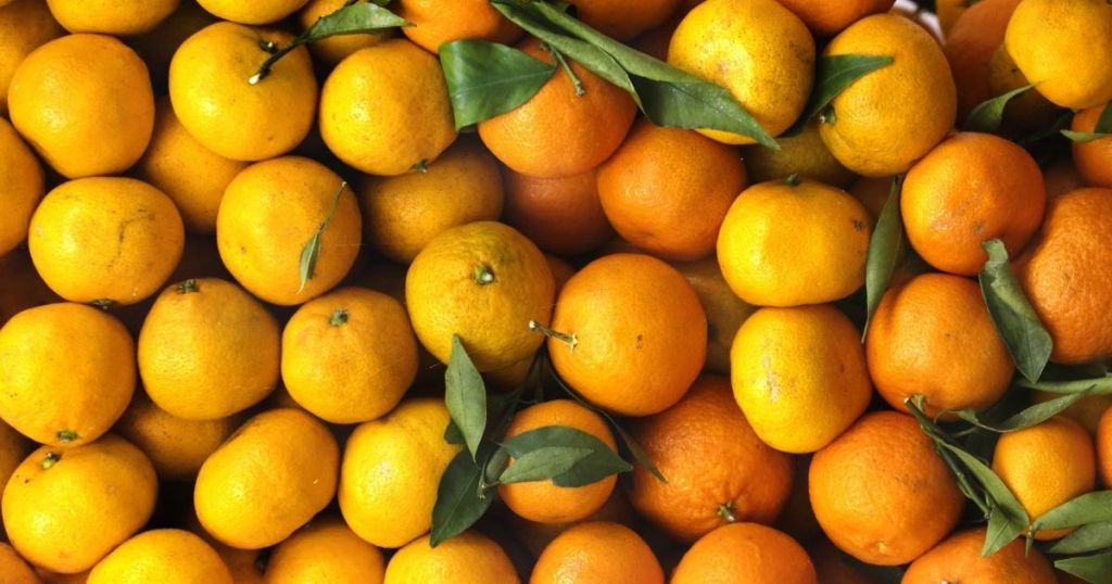 Що приготувати на Новий рік: закусочні мандарини, що вражають своїм виглядом та смаком Що приготувати на Новий рік: закусочні мандарини, що вражають своїм виглядом та смаком