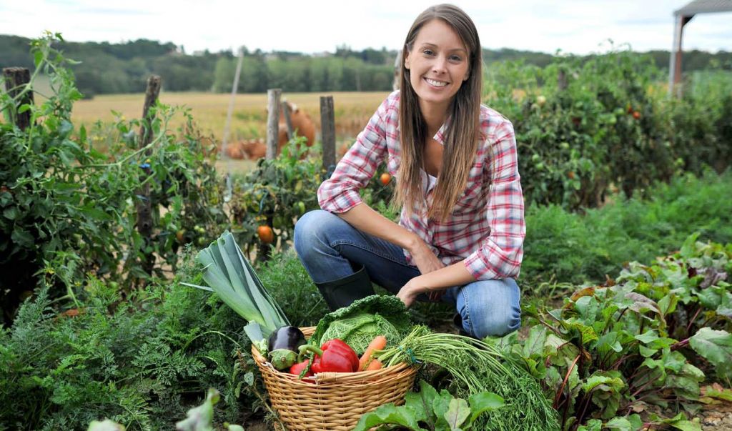 В Україні запустили програму розвитку крафтового фермерства В Україні запустили програму розвитку крафтового фермерства
