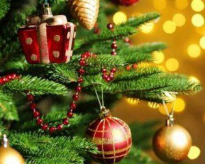 Щоб жива ялинка довго залишалась свіжою - допоможе простий спосіб Щоб жива ялинка довго залишалась свіжою - допоможе простий спосіб