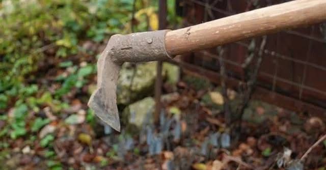 В Ізмаїльському районі жінку засудили до 6 років ув’язнення за тяжке побиття сапою родички В Ізмаїльському районі жінку засудили до 6 років ув’язнення за тяжке побиття сапою родички