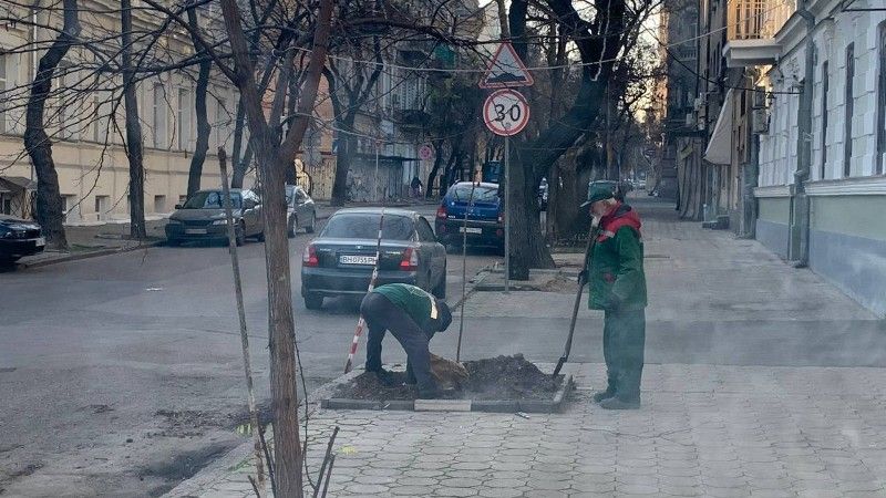 В Одесі тривають роботи з корчування пнів і висадження молодих дерев(фото) В Одесі тривають роботи з корчування пнів і висадження молодих дерев(фото)