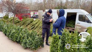 Правоохоронці проводять профілактичні рейди на ялинкових базарах та ярмарках Правоохоронці проводять профілактичні рейди на ялинкових базарах та ярмарках