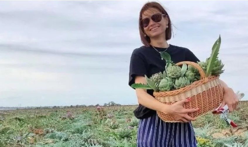 На Одещині можна збирати два врожаї артишоку на сезон На Одещині можна збирати два врожаї артишоку на сезон