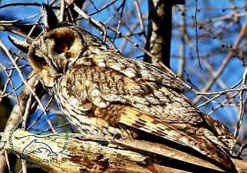 ПРИРОДА НАВКОЛО НАС(фото) ПРИРОДА НАВКОЛО НАС(фото)