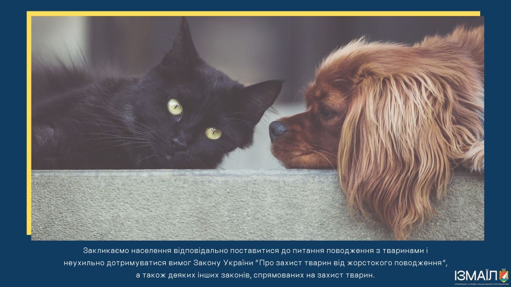 Шановні мешканці міста Ізмаїл! Шановні мешканці міста Ізмаїл!