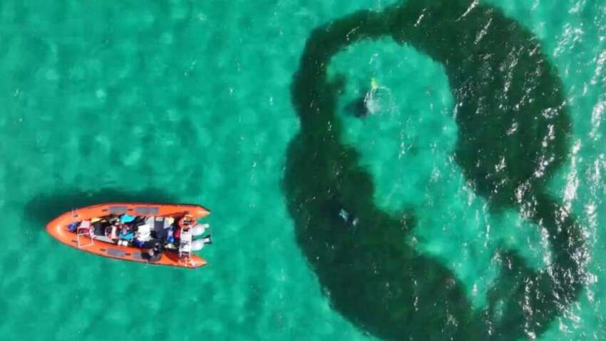 "Чарівні кола" знову виявили у Шотландії через століття після їх зникнення "Чарівні кола" знову виявили у Шотландії через століття після їх зникнення