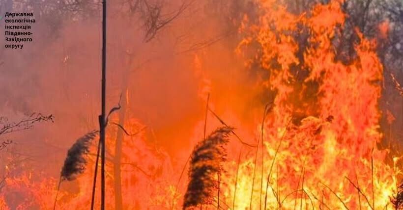 Загоряння плавнів Дунайського біосферного заповідника внаслідок збиття ворожого дрона завдало значної шкоди екології Загоряння плавнів Дунайського біосферного заповідника внаслідок збиття ворожого дрона завдало значної шкоди екології