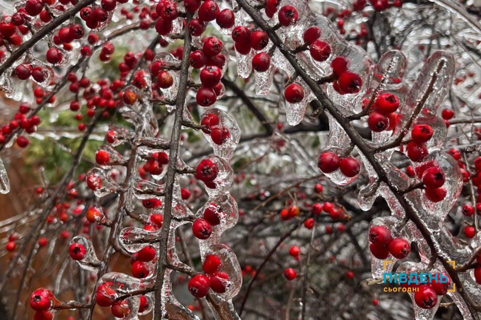 Ожеледь в Одеській області: який діаметр фіксували у населених пунктах 27 січня Ожеледь в Одеській області: який діаметр фіксували у населених пунктах 27 січня