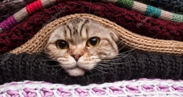 Синоптикиня попередила про сильний мороз в Україні Синоптикиня попередила про сильний мороз в Україні