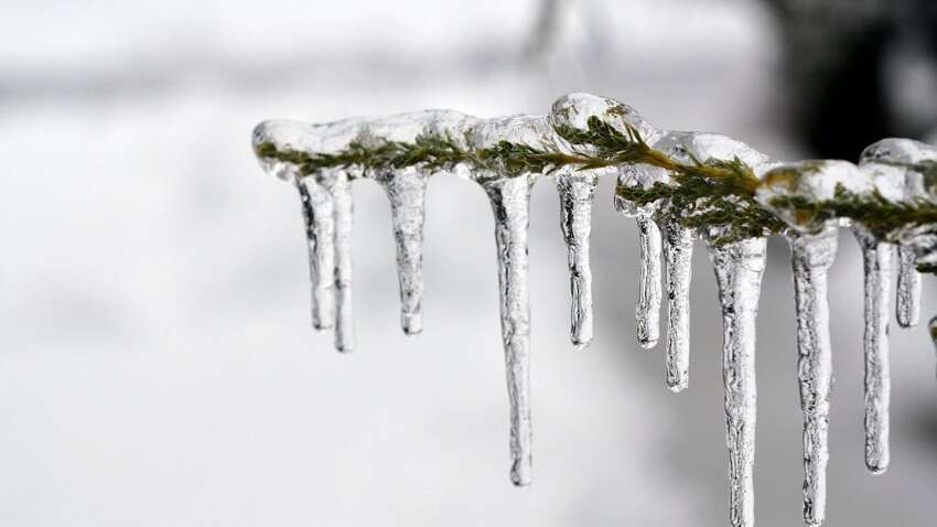 «Нам протриматися три ночі й три дні»: Наталка Діденко анонсувала потепління після сильних морозів «Нам протриматися три ночі й три дні»: Наталка Діденко анонсувала потепління після сильних морозів