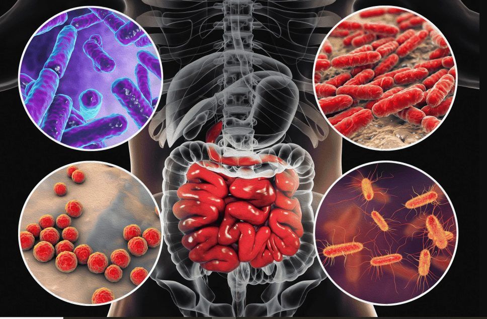 Відключення світла і води в Одеській області підвищують ризик кишкових інфекцій Відключення світла і води в Одеській області підвищують ризик кишкових інфекцій