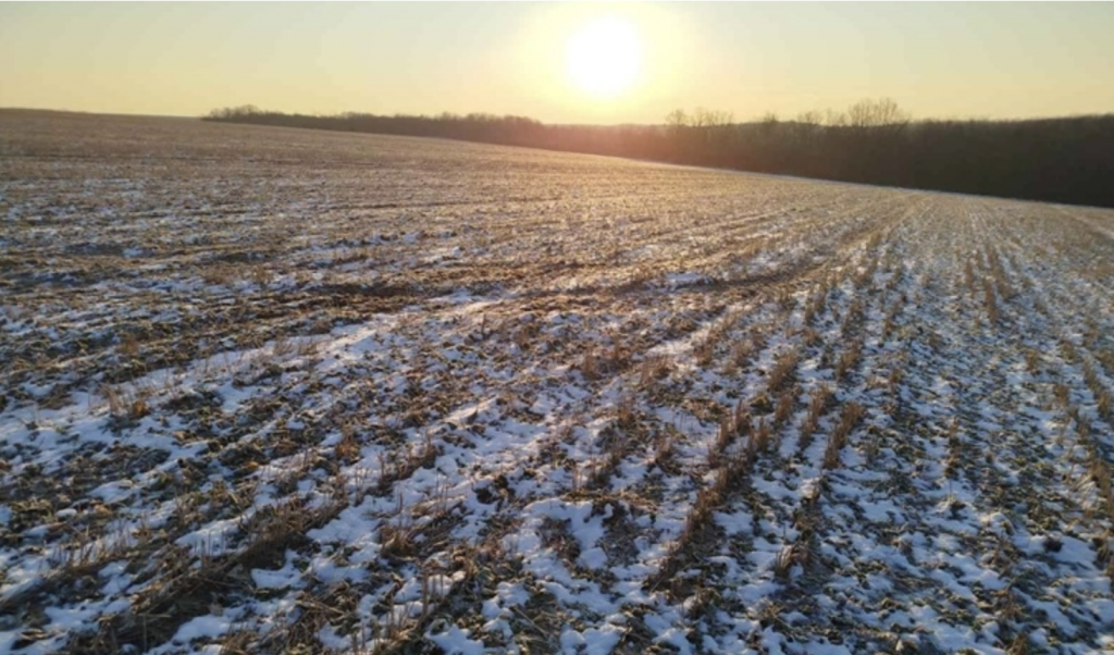 На півдні Одещини протягом січня випало всього 8,4 мм опадів На півдні Одещини протягом січня випало всього 8,4 мм опадів