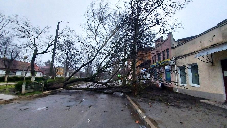 Негода у Болграді: містян закликають бути обережними через ризик падіння дерев Негода у Болграді: містян закликають бути обережними через ризик падіння дерев